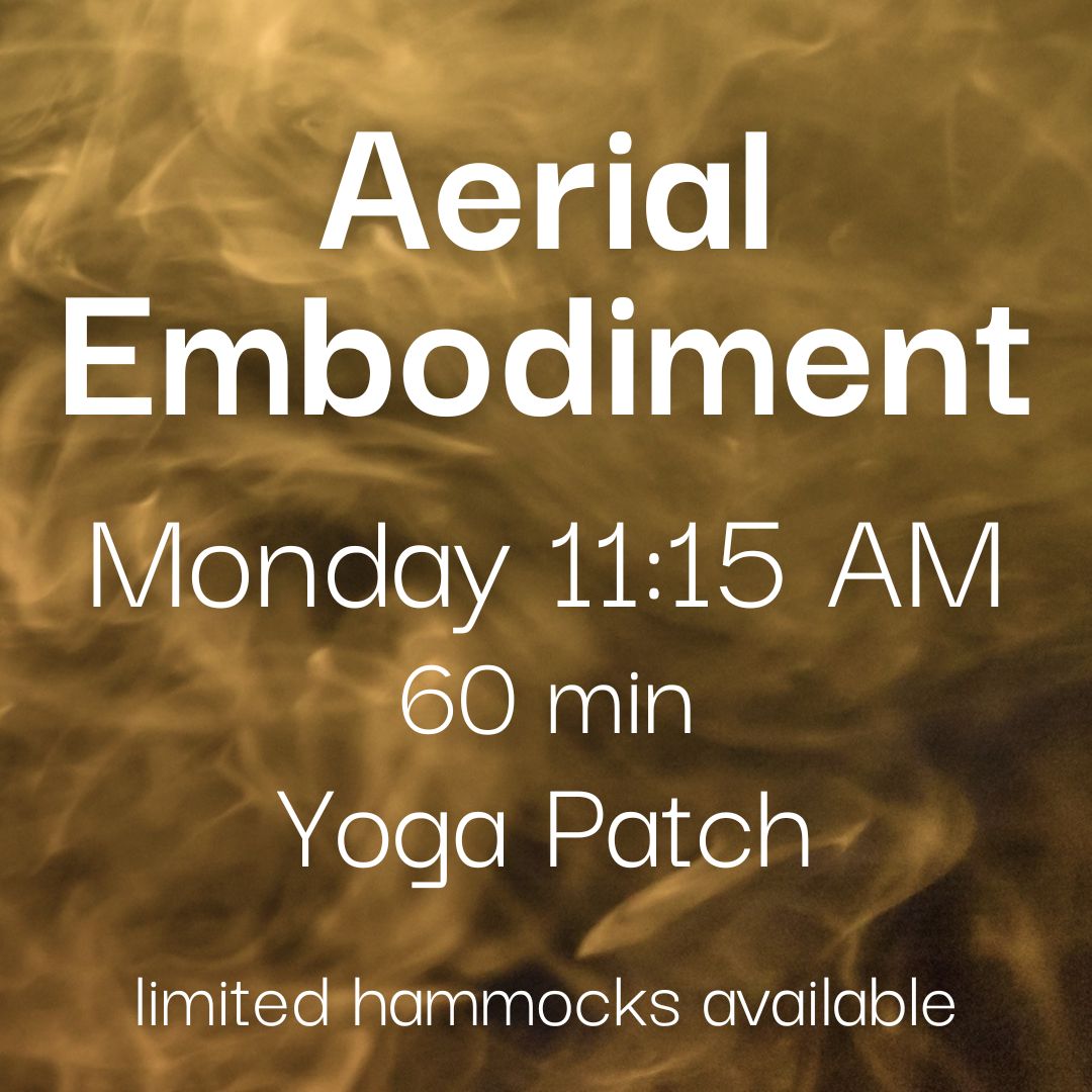 Aerial Embodiment