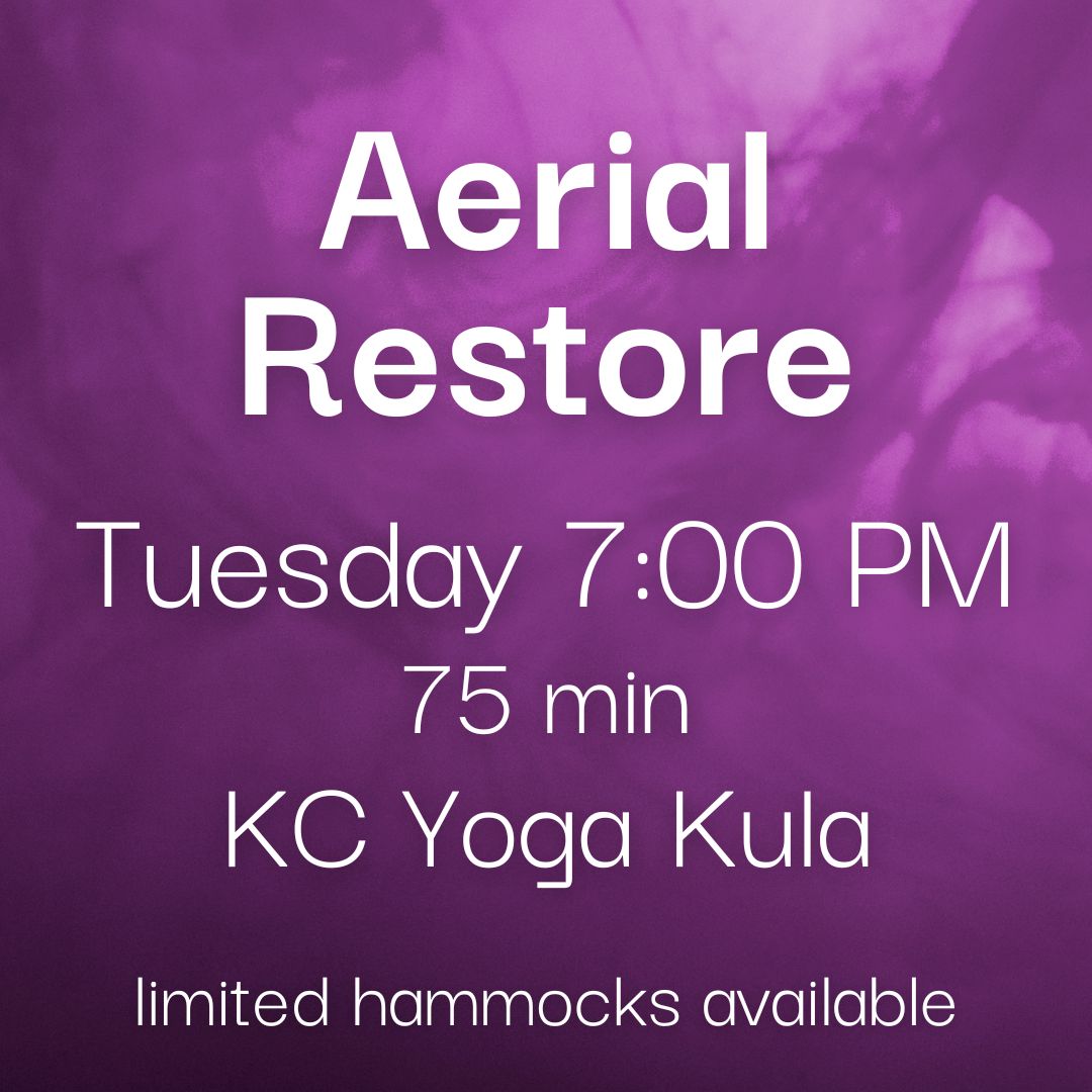 Aerial Restore