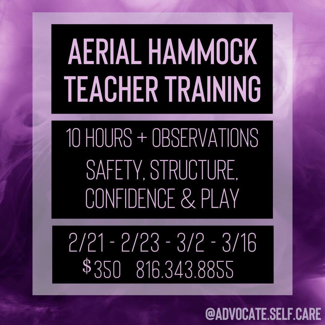 Aerial Teacher Training 2025